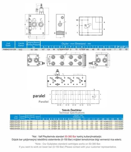 NG10 TEKLİ VALF PLEYTİ PARALEL (EMNİYETLİ) FERRO